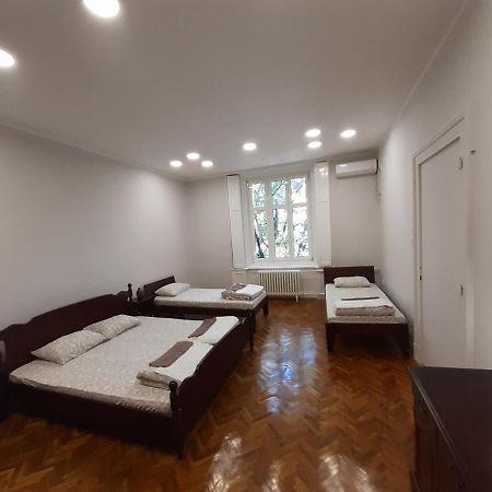 Downtown Apartment In Walk Zone With 3 Bedrooms And Garage نوفي ساد المظهر الخارجي الصورة
