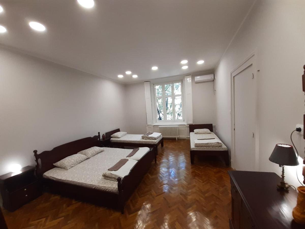 Downtown Apartment In Walk Zone With 3 Bedrooms And Garage نوفي ساد المظهر الخارجي الصورة