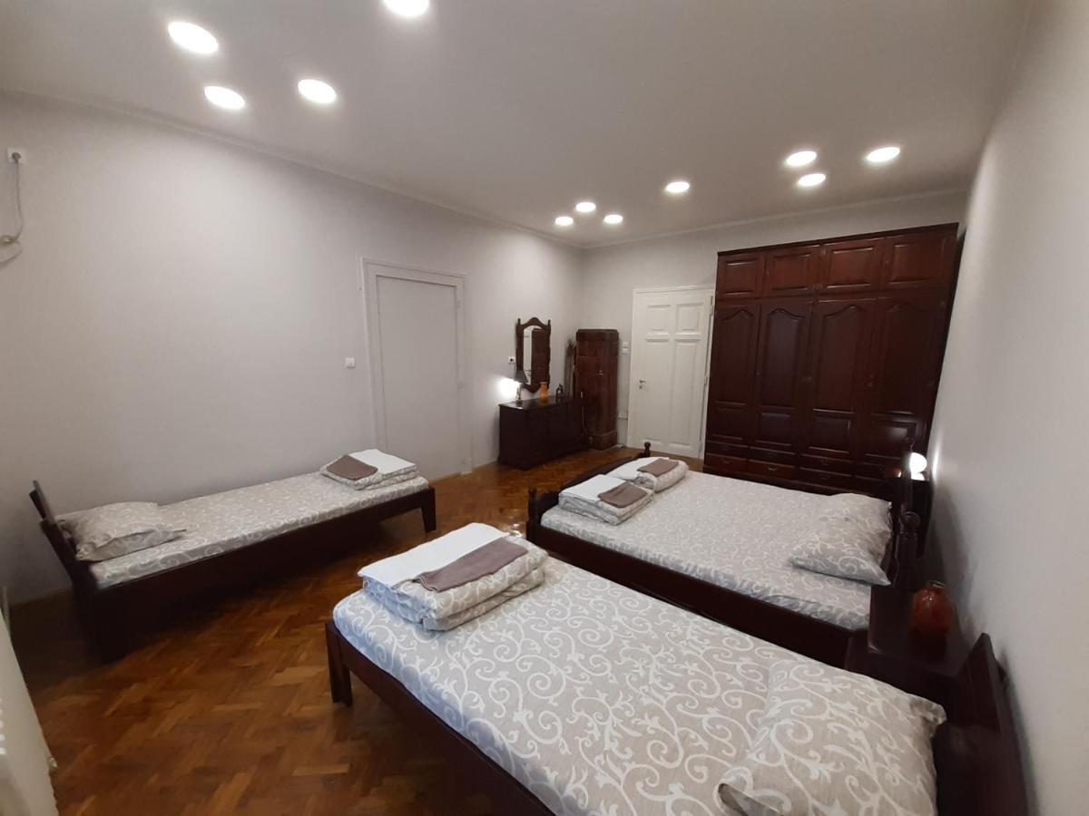 Downtown Apartment In Walk Zone With 3 Bedrooms And Garage نوفي ساد المظهر الخارجي الصورة