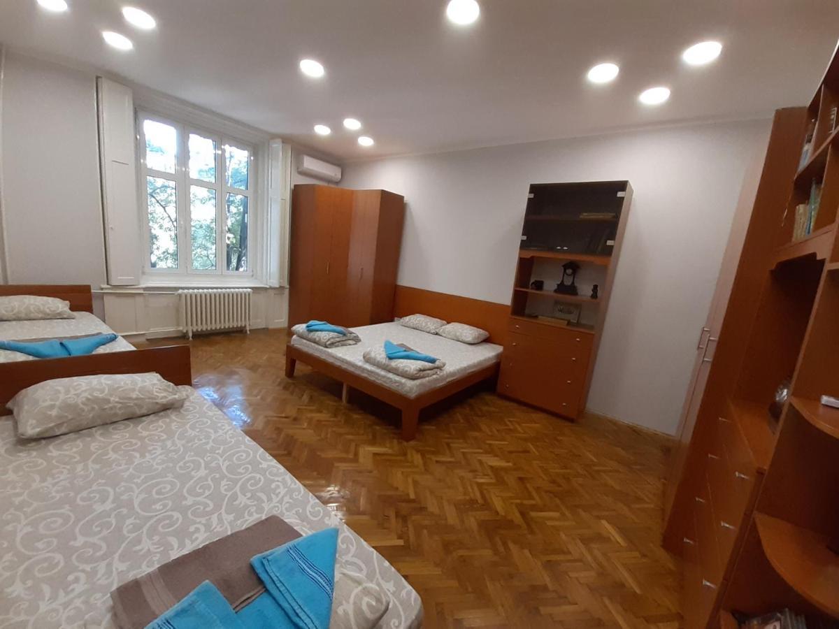 Downtown Apartment In Walk Zone With 3 Bedrooms And Garage نوفي ساد المظهر الخارجي الصورة
