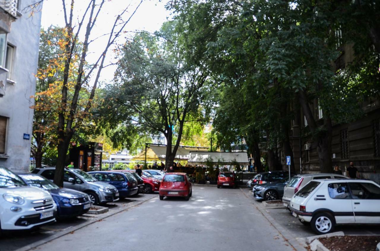 Downtown Apartment In Walk Zone With 3 Bedrooms And Garage نوفي ساد المظهر الخارجي الصورة