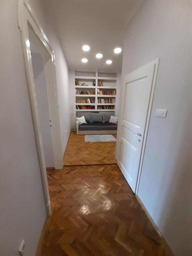 Downtown Apartment In Walk Zone With 3 Bedrooms And Garage نوفي ساد المظهر الخارجي الصورة