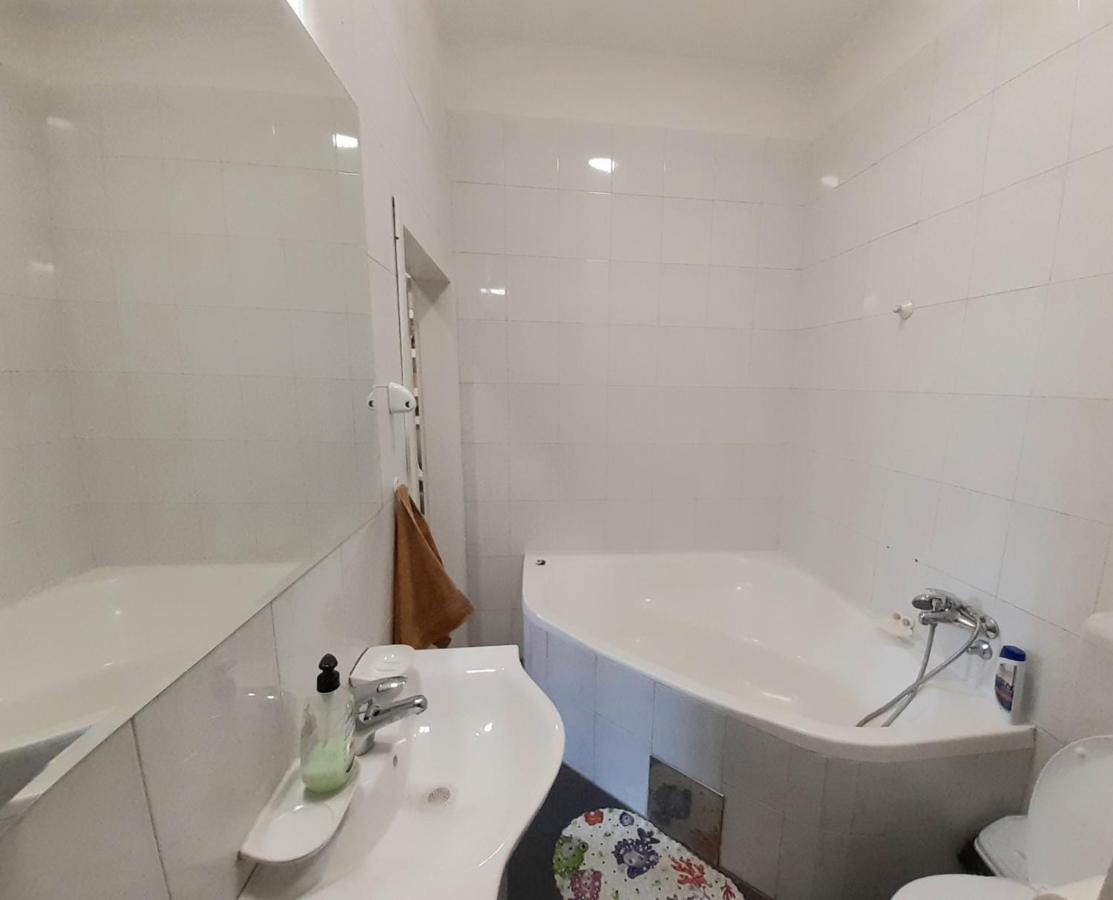 Downtown Apartment In Walk Zone With 3 Bedrooms And Garage نوفي ساد المظهر الخارجي الصورة