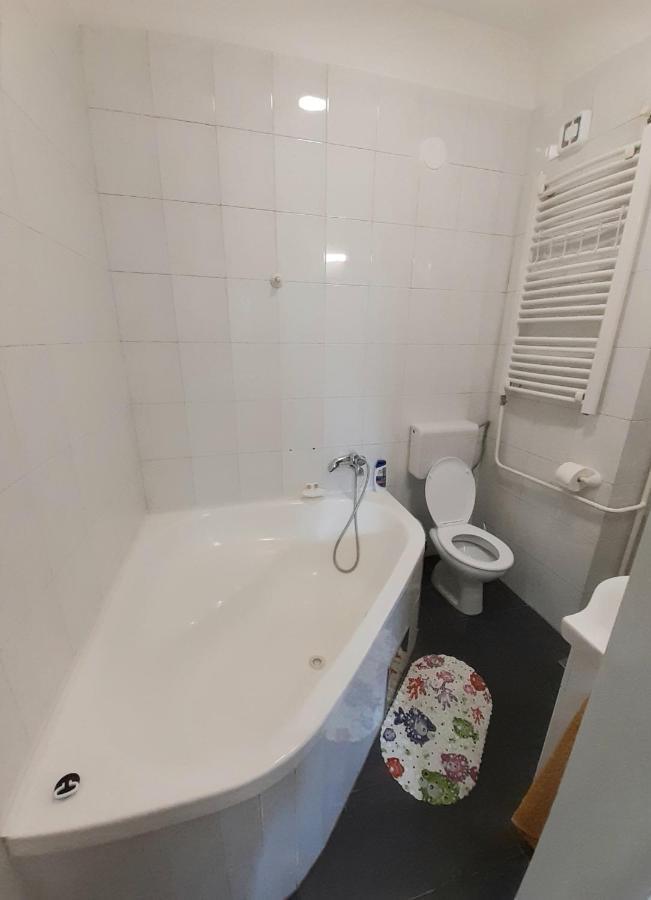 Downtown Apartment In Walk Zone With 3 Bedrooms And Garage نوفي ساد المظهر الخارجي الصورة